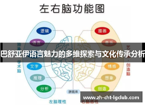 巴舒亚伊语言魅力的多维探索与文化传承分析
