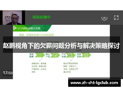 赵鹏视角下的欠薪问题分析与解决策略探讨 赵鹏视角下的欠薪问题分析与解决策略探讨