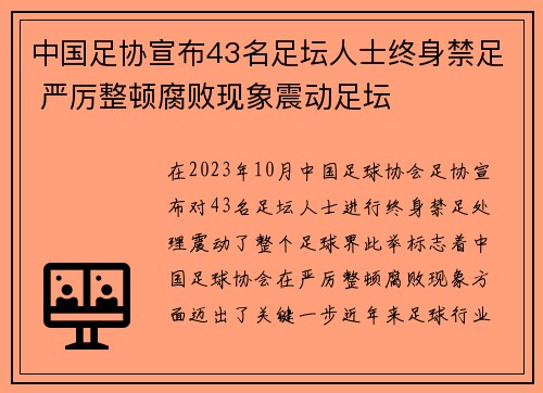 中国足协宣布43名足坛人士终身禁足 严厉整顿腐败现象震动足坛 中国足协宣布43名足坛人士终身禁足 严厉整顿腐败现象震动足坛